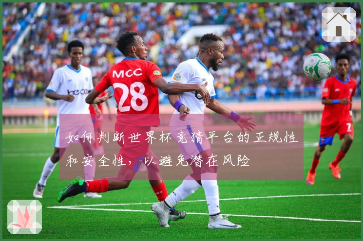 如何判断世界杯竞猜平台的正规性和安全性,以避免潜在风险